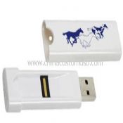 8GB Fingerprint USB Flash Drive images