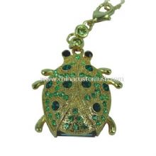 Schmuck-Käfer USB-Festplatte images