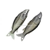 Fish USB Disk images