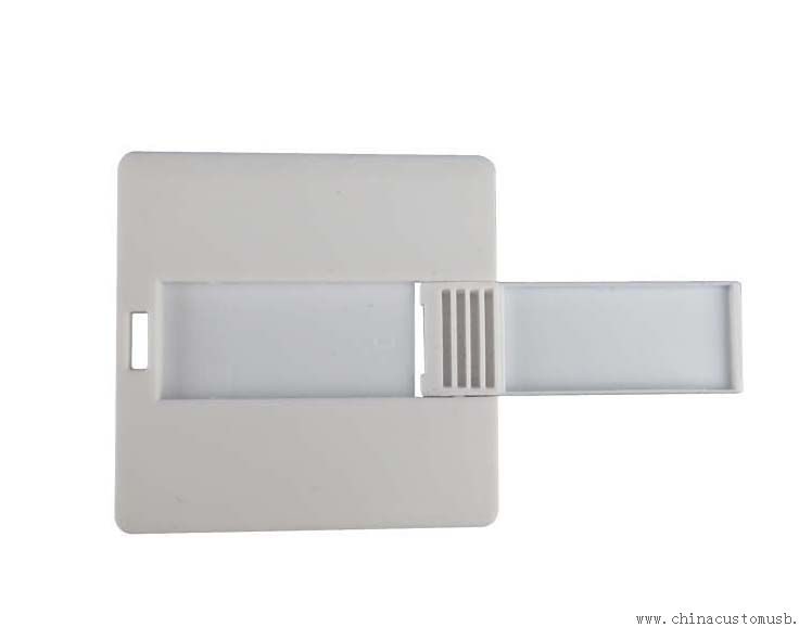 Plastic Mini Card USB Flash Drive