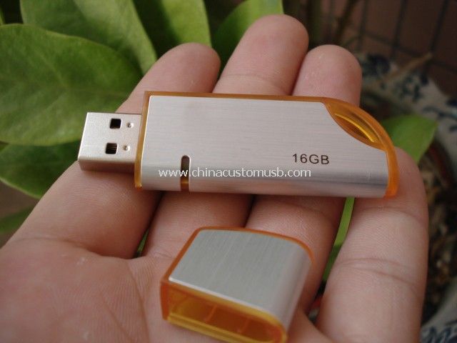 Disco Flash USB llavero