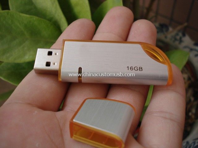 Porte-clé USB Flash Disk