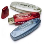 Fremmende USB glimtet kjøre med Logo images