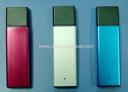 Plastic Case USB Flash Drive