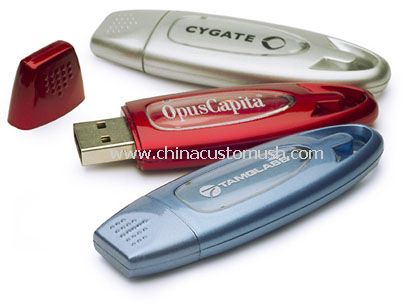 Promotional USB Flash Drive with Logo
