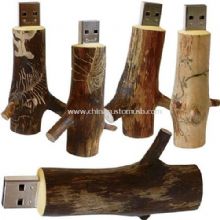 Novelty Wooden USB Flash Drive images