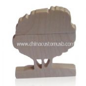 Wood USB images