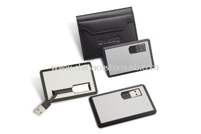 Card USB fulger şofer