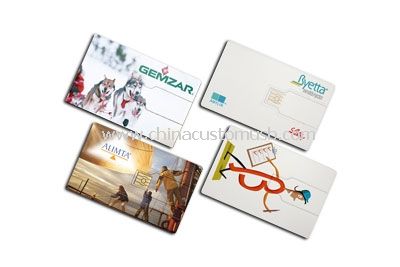 Logo Printed Card USB Flash Drive