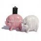 Plastic Pig shape USB Gift small picture
