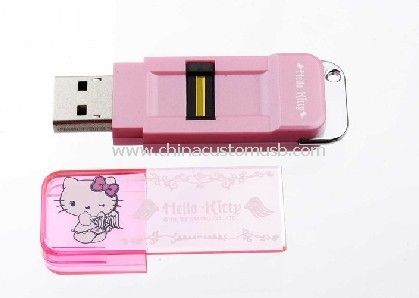 Impressão digital mini USB Flash Drive