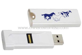 8GB Fingerabdruck USB-Flash-Laufwerk