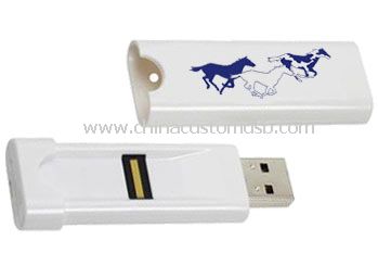 D'empreintes digitales de 8GB USB Flash Drive