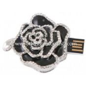 Rosa joyas USB Flash Drive images