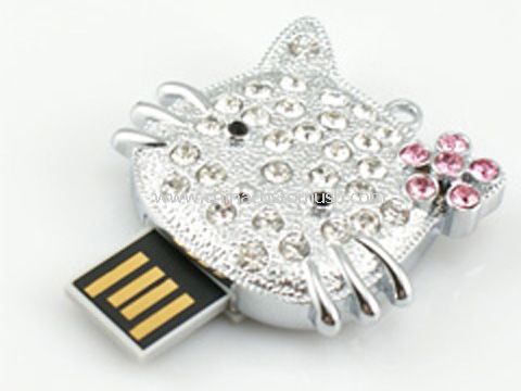 Lecteur flash usb de diamant