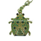 Jewelry beetle USB Disk images