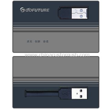 Scheda USB Flash Drive