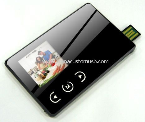 Carta di credito crittografati USB memoria Flash DriveWith Logo