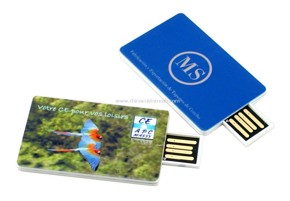 Disque usb de couleur mini card