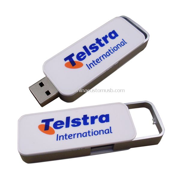 Schieben Sie USB-Flash-Disk