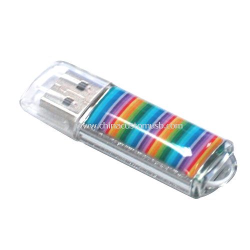 Kunststoff Epoxy Kuppel-USB-Flash-Laufwerk