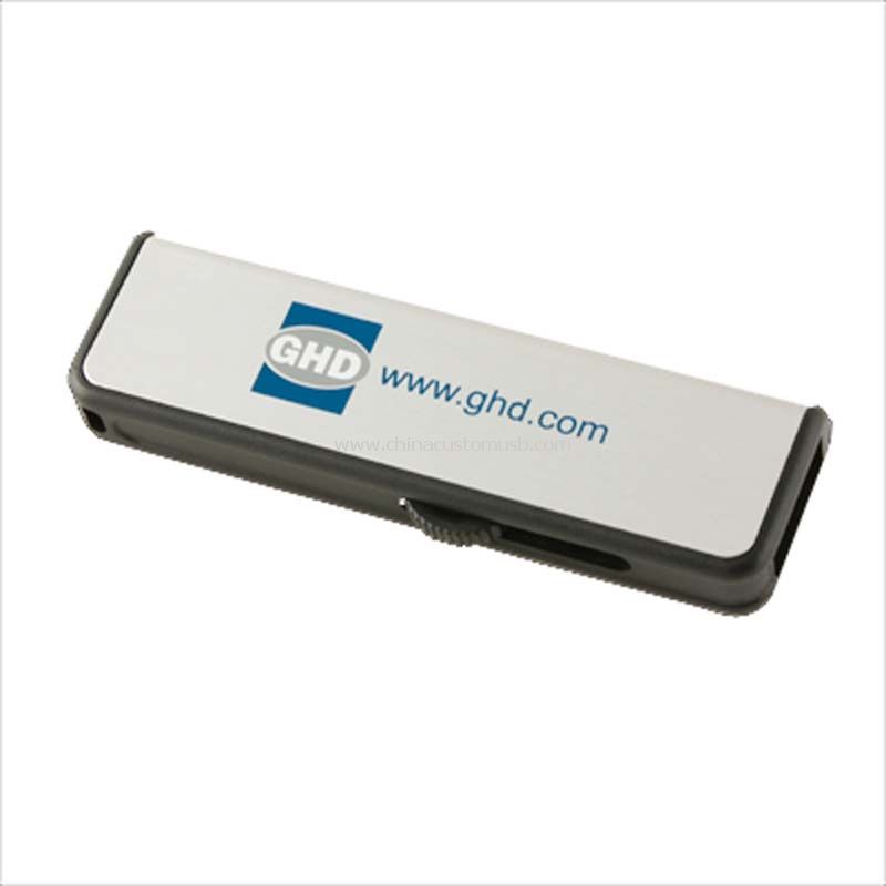 Das Logo gedruckt Metall-USB-Flash-Laufwerk
