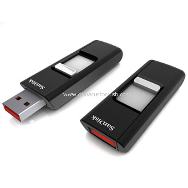 Custom Logo USB Flash Drive