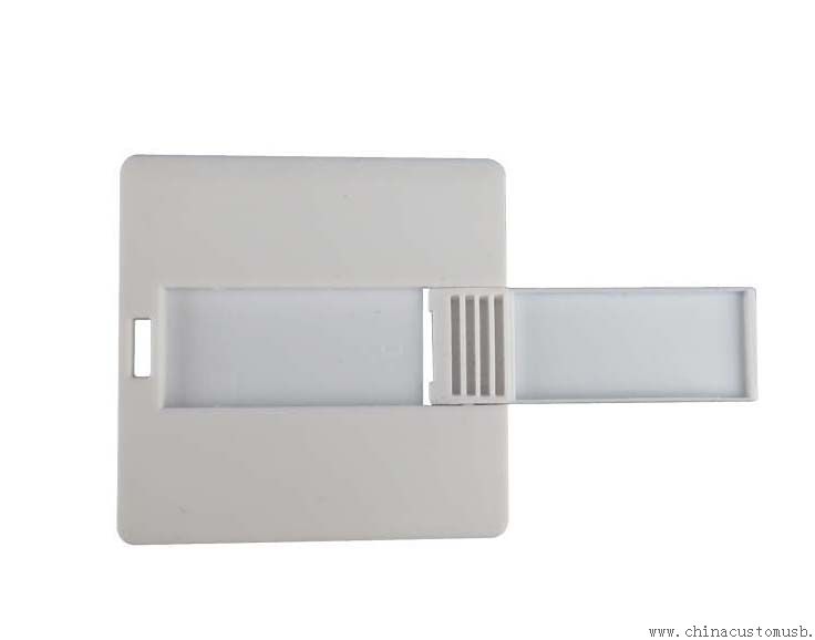 Plastic Mini Card USB Flash Drive