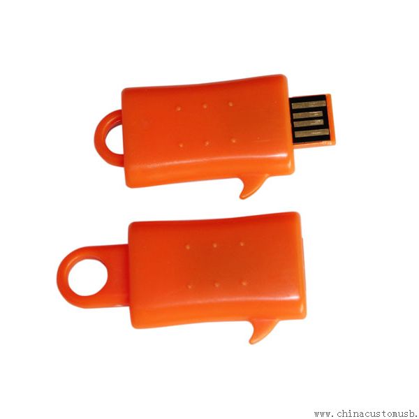 Mini Plastic Push-pull USB Flash Disk