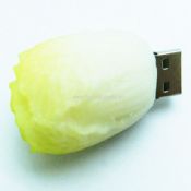 vegetabilske usb opblussen drive images