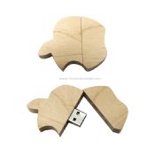 Dřevěné USB Disk images