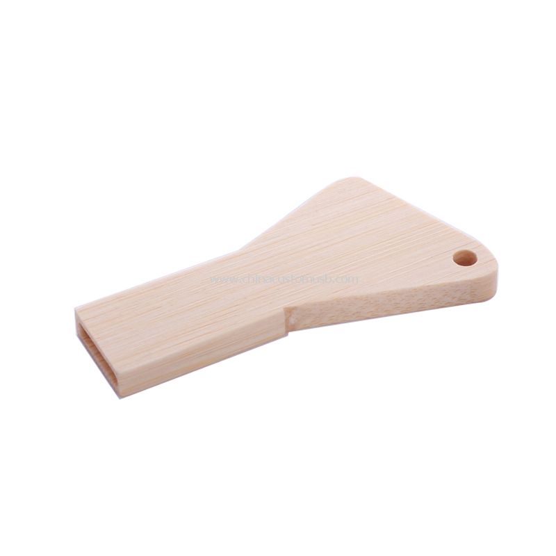 Chave de madeira forma disco USB