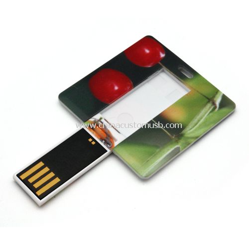 Mini tarjeta USB disco