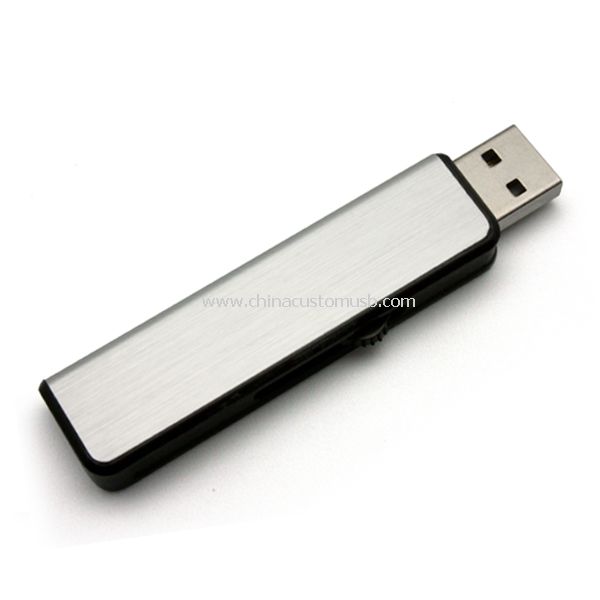 Pousser-tirer la conception USB Flash Drive