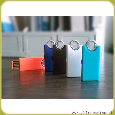 Plástico retráctil USB Flash Drive con anillo Hook