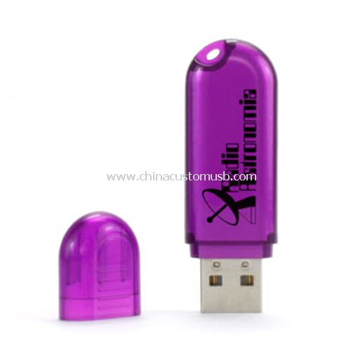 flash drive USB in plastica