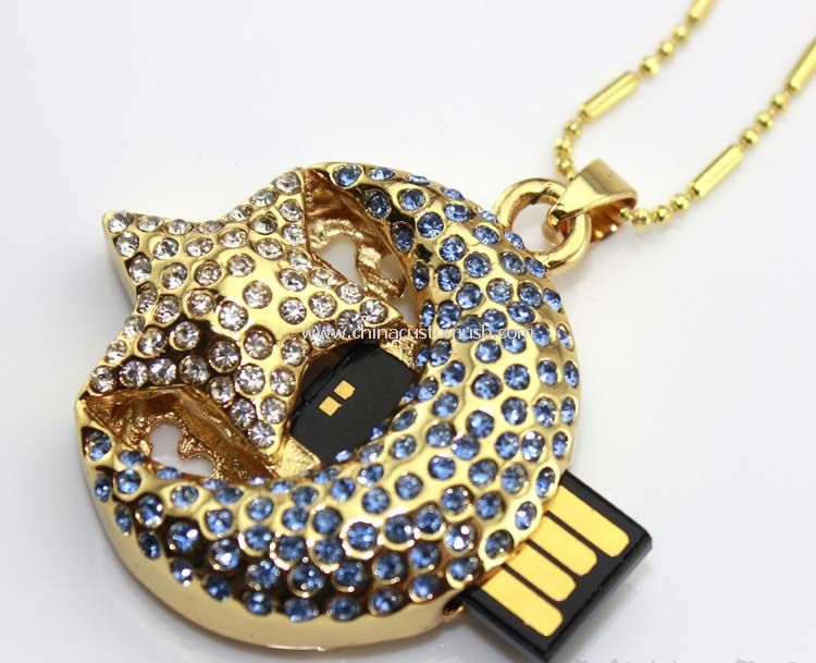 Amant de bijoux USB Flash Disk