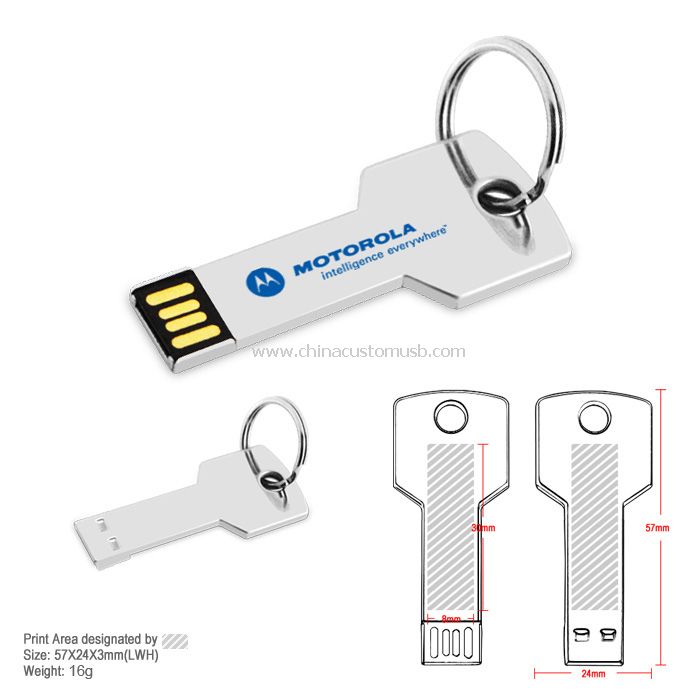 Schlüssel USB Flash-Disk