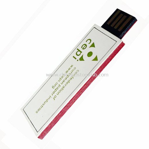 Disco de papel especial USB com memória UDP
