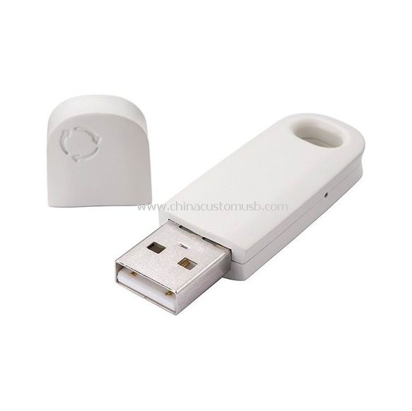 Memoria USB biodegradable de ECO