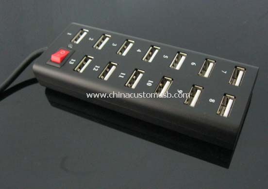 13 port USB hub-uri