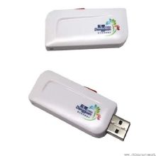 Plastic Logo printed USB Flash Disk images