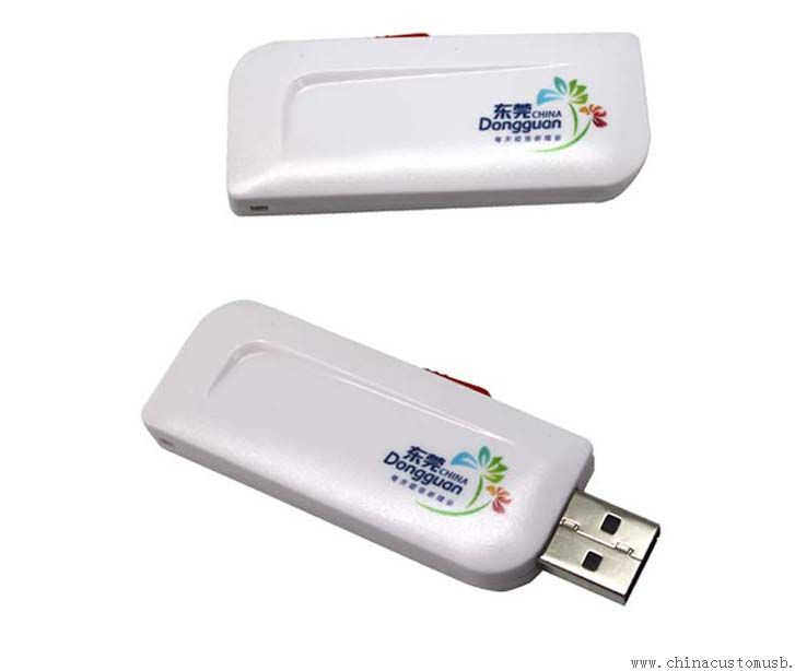 Dicetak Logo plastik USB Flash Disk