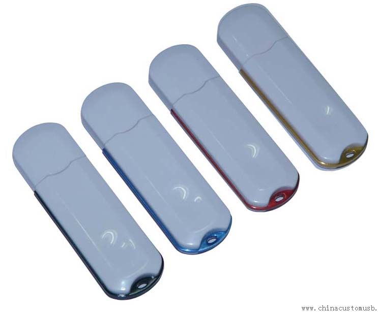 Plastic USB Flash Disk