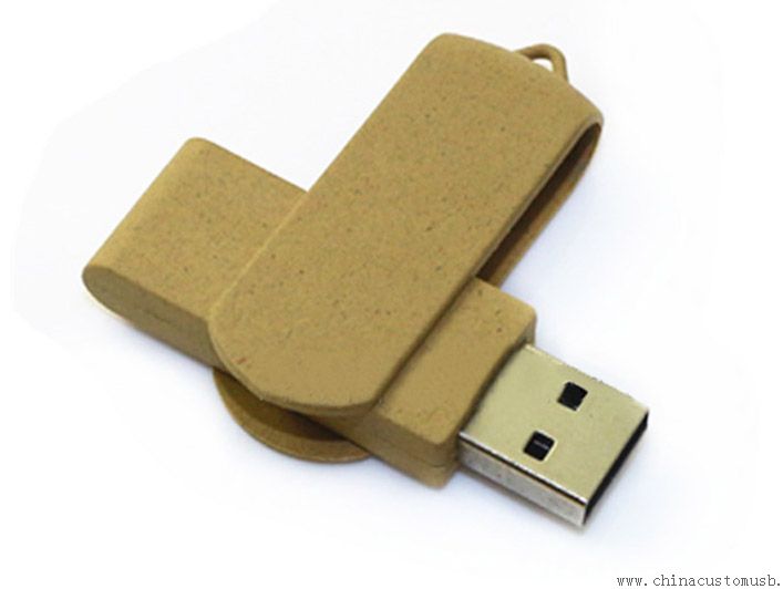 Recycled wooden keychain wooden usb 2.0 flash disk