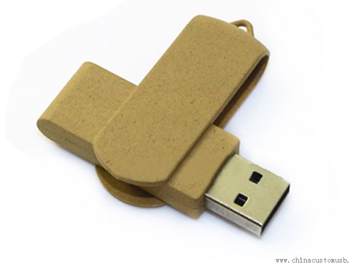 Porte-clefs en bois recyclé en bois usb 2.0 flash disk