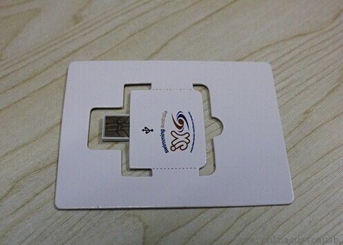 Пользовательский дизайн бумаги бизнес USB Webkey