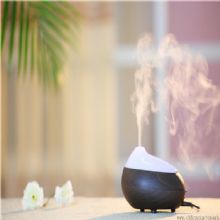 USB aroma diffuser/electric car humidifier GX DIFFUSER images