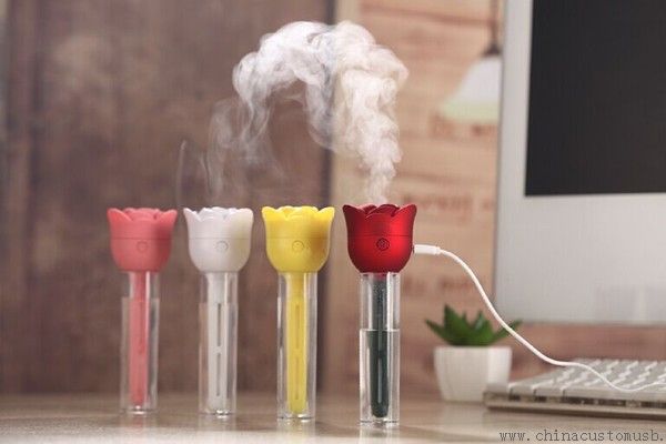 Office desk usb humidifier