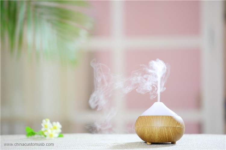 USB aroma diffuser/electric car humidifier GX DIFFUSER 3